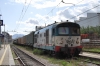 DSC_0339~1.JPG