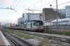 DSC_0483.JPG