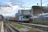 DSC_0653~1.JPG