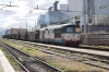 DSC_0780.JPG