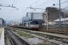 DSC_1060~0.JPG