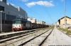 DSC_1138~0.JPG