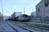 DSC_1314.JPG