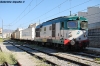DSC_4081.JPG
